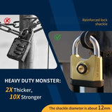 Heavy-duty metal padlock with 3 keys, dual-open design , suitable for V1232-SKS-001