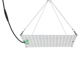 Full Spectrum Growth Quantum Board LED Indoor Plant Supplement 3000K 5000K IR UV Grow V1294-YM0901-L6830US