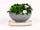 Mobile Flower Pot Tray Durable Wheels Plant Tray Planter Tray with Wheels V1294-YM0523-220108SH01-4