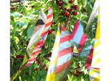 10Pcs Bird Repellent Ribbon Double Side Tape - Silver&Red V1263-JX-925