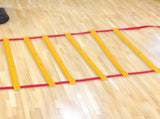 9m Agility Speed Training Ladder V63-784835