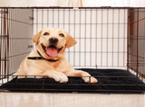 Chew Proof Indestructible Dog Beds for Aggressive Chewers,Durable Dog Crate Pad,Washable Tough Pet V1192-AZ-W-3464