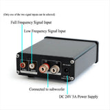 100W D100 TPA3116 Digital Power Amplifier Single Sound Channel Class D Desktop Subwoofer for Home V1370-AZ4-07886