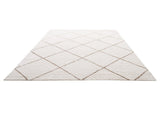 Indoor Plush Area Rugs, 2.44 x 3.05m Plush Carpet, Area Rugs Furry with Long Plushs Pile, Thick & V952-JXDDTSSCR8X10TZKW001V0