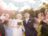 50 Pieces Peace Dove Balloons White Memorial Balloons Pigeon Bird Balloons Ceremonies Party V1366-AZ2-W-08674