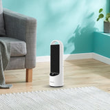 Dimplex 2kW Personal DC Ceramic Heater in Black and White DHCHR20M