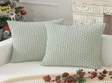 Holzlrgus Fall Set of 2 Striped Textured Velvet Corduroy Decorative Europe Sham Seasonal Autumn V1189-WXFWAL-20260319-01333