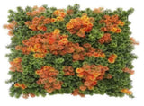 Mixed Orange and Green Moss Panel UV Resistant 100cm x 100cm V637-DP1225251