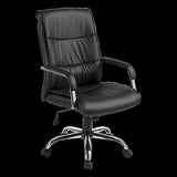 PU Leather Office Chair Ergonomic Executive Swivel Desk Chair with Padded Seat in Black V63-774965