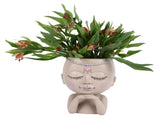 Face Flower Pot Head Planter Pot Succulent Planter Cute Resin Cactus Planter with Closed Eyes Indoor V1294-YM0710-3111230269011