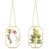 Pressed Flower Glass Frame Set, 2 Pack Metal Floating Picture Frames, Octagon Hanging Display with V1369-AZ3-W-08562
