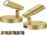 Spot Lights Indoor, Rechargeable Picture Light with Remote, Dimmable CCT Spotlight for Wall Art, V1171-CB-BOM001479-2