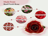 Gold Dipped Rose 24k Red Gold Plated Rose - Everlasting Long Stem Real Rose Exquisite Holder, V1366-AZ2-W-02440