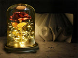 24K Gold Plated Rose Flower LED Light with Glass Cover Base Valentines'Day Wedding Gift Red V1294-YM0727-JY15089-01