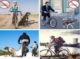 Versatile 2-in-1 Bicycle Dog Walker Leash with Shock-Absorbing Bungee, Adjustable Seatpost Mount, V1341-ZY-ZXUCP8UU-SILVER