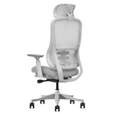 Lifespan Fitness DM8 Ergonomic Office Desk Chair V572-LFOC-DM8G