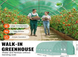 Walk-in Tunnel Greenhouse, 19.4x9.7x7.4 ft Hoop House Greenhouse Tunnel, Plant Hot House with V952-SDXWS20X10X7C44VZV0