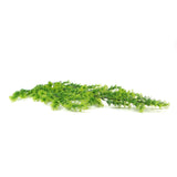 Artificial Hanging Bell Leaf Plant 80cm Long UV Resistant V77-751890129