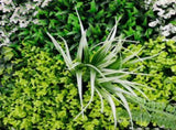 Forest Floor Artificial Vertical Garden / Green Wall Panel 1m x 1m UV Resistant V637-DP554893