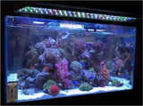 7-in-1 Aquarium Sand Washer Upgrade AU Plug / 15W 66LED RGBW Aluminum Shell Stand Light V201-BCJHDHLYG118