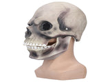 Halloween Scary Skull Mask Adult Full Head Latex Skull Helmet Glowing Eyes with Moving ChinDark Gray V1294-YM0523-3117210187812