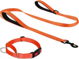 Martingale Dog Collar, 6FT Double Handle Leash for Training, Orange V1259-DP01-A-4638