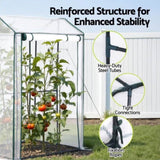 Green Fingers Mini Greenhouse PE Cover Green House Roll-Up Zippered Door 1.0x0.8x1.5M GH-MINI-F-100X80-TP