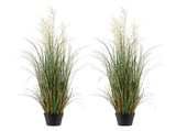 Artificial Grass Plant, 2 Pack 1194mm Reed Flower Grass in Pot, Premium PVC Faux Fake Greenery V952-DPKLWHLS47INM48C5001V0