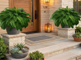 24in Artificial Boston Fake Ferns Large, UV Resistant Artificial Outdoor, Weatherproof Fake V1366-AZ2-W-14213