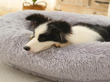 Fluffy Donut-Shaped Pet Bed- Soft, Cozy, and Anti-Anxiety for Dogs and Cats, Machine Washable Light V888-ELOSUNG10224