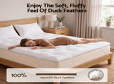 Giselle Double Pillow Top Mattress Topper 1300GSM White Duck Feather For Old Bed Upgrade 5cm Thick TOPPER-DFEATHER-D