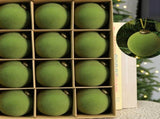 24pk Flocked Xmas Baubles Metal Cap, Avocado 8cm V1221-XM-LB081-007