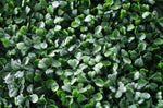 Portable Boxwood Hedge UV Stabilised 75cm High 100cm Long V77-1006821