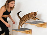 Set of 2 Cat Wall Shelves, Wooden Climbing Steps for Wall Mount, Ideal for Living Room and V1237-ZY-924-093