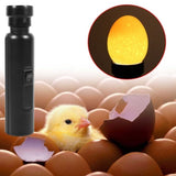 AU Plug Egg Candler Lamp - LED Cool Light Chicken Duck Quail Hatching Incubator V238-SUPDZ-32562768379984