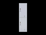 2-Door Vertical Locker for Office Gym Shed School Home Storage V63-832411
