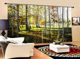 Modern Living Room Bedroom High Quality Window Full Shade Printing Curtain V1294-YM0901-JY35905-02