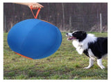 Herding for Dogs, 18" Large Interactive Dog Toys for Medium & Large Dogs, Complete Set Dog V1192-AZ-W-3228
