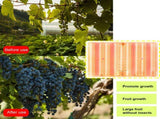 Full Spectrum LED Plant Grow Light Home Succulent Color Indoor Green Plant Flower Seedling V1294-YM0901-L6915US-1