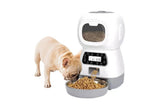 Automatic Feeder Pet Food Dispenser Automatic Feeder Dry Food Dispenser Smart Pet Feeder Timed V1263-JX-6202-2