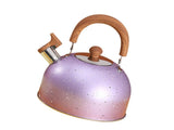 Water Kettle, Stainless Steel Whistle Kettle, Large Capacity Flat Bottom for Gas Induction, 2L, V1263-JX-3009