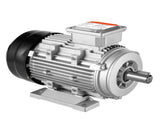 2.2KW Electric Motor 2890 rpm, AC 400V 4.7A, 90L, B3 Frame, Air Compressor Motor 3-Phase, 24mm Keyed V952-TYJLIECDJ300ILW2HV8
