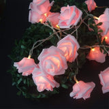 50 Pink Rose 3D Fairy Lights 5M LONG String, Battery Indoor & Outdoor Decorations Wedding V382-PINKROSEBATT50