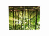 Forests Sunlight Printing Shading Curtains for Balcony Bedroom Drawing Room Window 170 * 200cm V1294-YM0901-JY35918-02