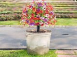 1 Violet Eucalyptus Artificial Flower Arrangement Artificial Plants OutdoorArtificial Flowers with V1369-AZ3-W-17630