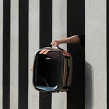 PIDAN Pet Carry Back Pack V390-PD2651M1