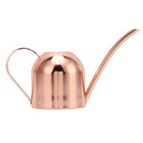 Watering Can for House Bonsai Garden Flower Outdoor Indoor Plants Long Spout Pot Stainless Steel V1294-YM0626-3111220315711