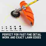 MTM 62cc 7in1 Brush Cutter Garden Multi-Tool , Pole Hedge & Line Trimmer, Bullhorn Handle, 12" Tree V219-PLTM71MTMA7C0