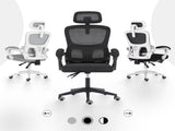 Ergonomic Reclining Office Chair - Lumbar Support, Adjustable Headrest VELTRA - BLACK V274-FT-OC-2656B-BK