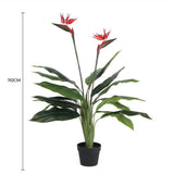 Artificial Bird of Paradise Plant 110cm V637-DP1009692N-RED